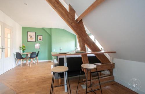 Orleans Apartment | Bright 70m Apartment near City Center & the Loire