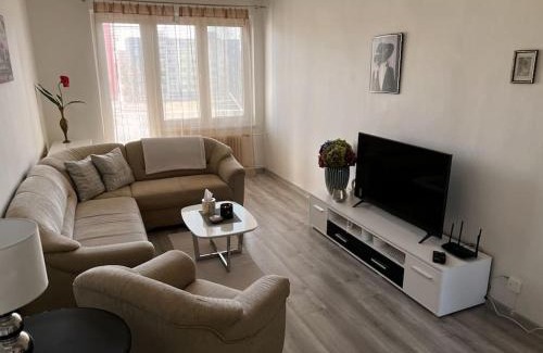 Velke Kapusany Apartment | Bright and Comfy Apartment with Free Parking