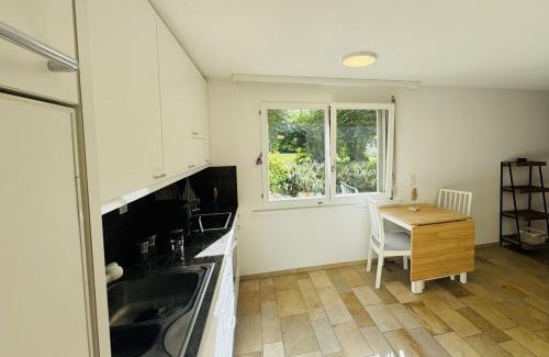 Wurenlos Apartment | Bright furnished Studio with workspace and garden area near Zurich