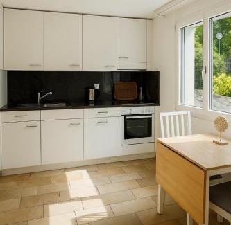 Wurenlos Apartment | Bright furnished Studio with workspace and garden area near Zurich