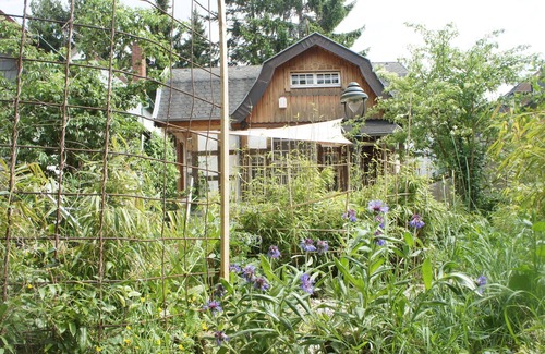 Alt-Godesberg House | Bright holiday home, own wild nature garden, sun terrace at the pond