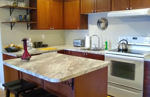 Rosemount House | BRIGHT SUITE: 2 BDRMS-COTTON LINEN FIRE PL PATIO PARK/GRAND RIVER WALKING TRAILS