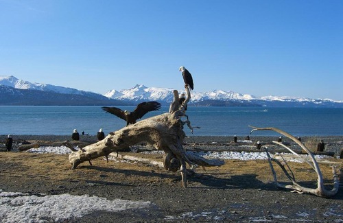 Kachemak Bed & Breakfast | Brigitte's Bavarian Bed und Breakfast