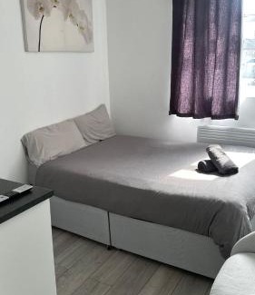 Bensham Manor Apartment | Brigstock 4
