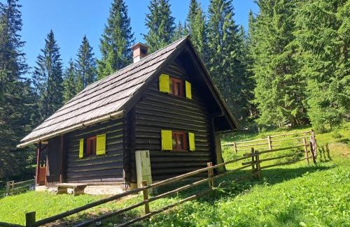 Goreljek House | BRINA Pokljuka