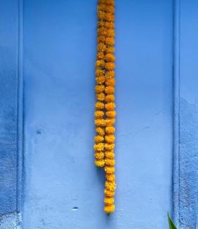 Jodhpur Bed & Breakfast | Bristows Haveli Homestay