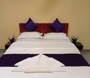 Mercurim Apartment | Brit's Palace Goa