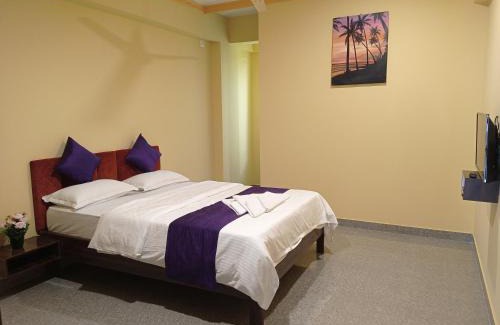 Mercurim Apartment | Brit's Palace Goa