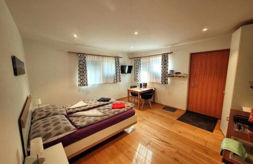 Ernen Apartment | Brunnematta
