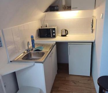 Postrizin Apartment | Bruno