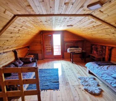 Bor House | Brvnara koliba