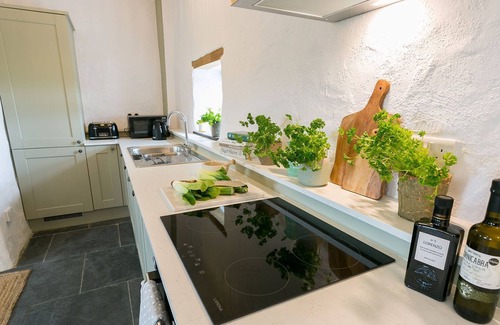 Bodorgan Cottage | Bryn Eithin - a remote that sleeps 2 guests in 1 bedroom