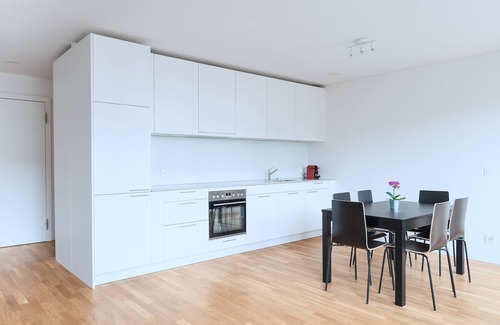 Basel City Centre Apartment | BS Fox I - Messe Hitrental Apartment