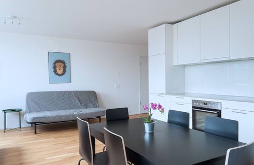 Basel City Centre Apartment | BS Fox I - Messe Hitrental Apartment