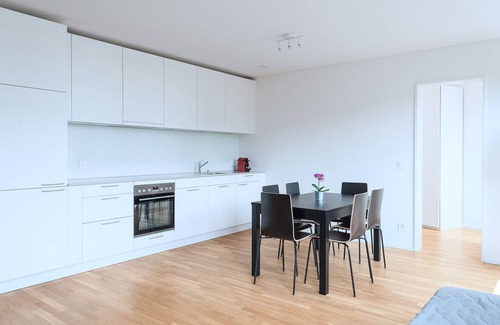 Basel City Centre Apartment | BS Fox I - Messe Hitrental Apartment