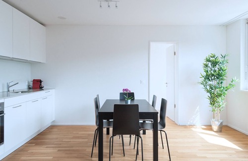 Basel City Centre Apartment | BS Fox I - Messe Hitrental Apartment