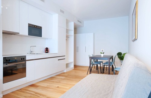 Basel City Centre Apartment | BS Hodler II - Marktplatz HITrental Apartment