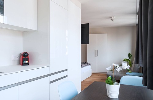 Basel City Centre Apartment | BS Picasso II - Marktplatz HITrental Apartment