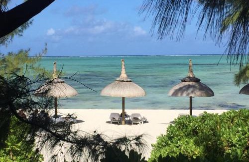Trou d'Eau Douce Cabin | Bubble Lodge Ile aux Cerfs Island