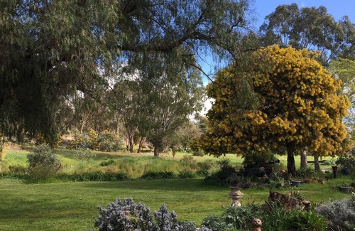 Dunolly House | Buckley's of Dunolly