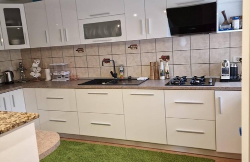 Sucevita Villa | Bucovina-MountainHouse-5BR-Fireplace-HotTub-WiFi