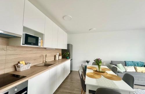 Bekasmegyer Apartment | BudaBright 192 II freeparking