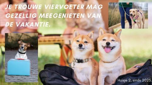 Matsloot House | Buiten Huisje aan de Vaart 2