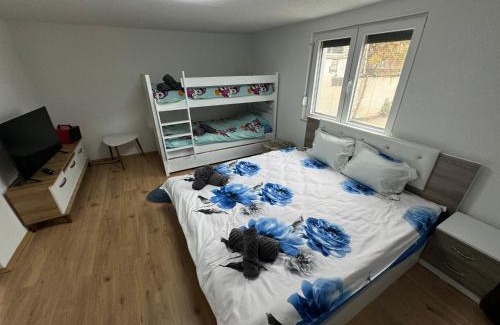 Lubizhdë Villa | Bujtina Adushi