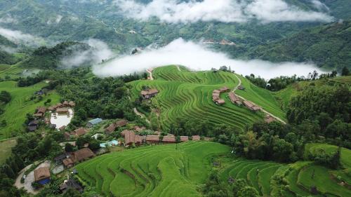 Thong Nguyen Hotel | Bungalow Hoàng Su Phì