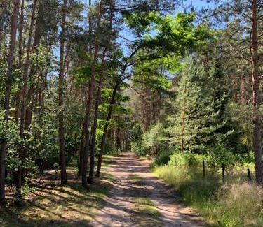 Borkwalde House | Bungalow im Wald