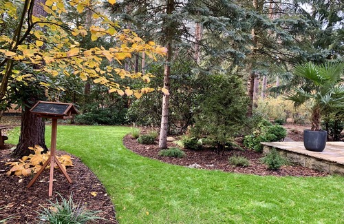 Borkwalde House | BUNGALOW IN THE FOREST on a natural plot