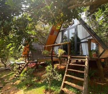 Chau Duc Other | Bungalow