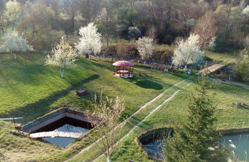 Berkovitsa House | Bungalows Zdravets