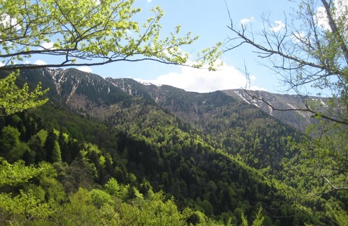 Berkovitsa House | Bungalows Zdravets