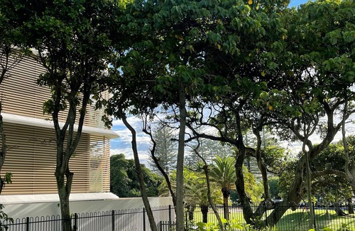 Burleigh Heads Apartment | BURLEIGH BEACH - Renovated Unit With Free WIFI
