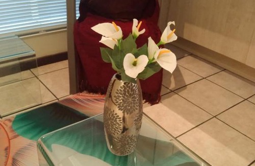 Hatfield Apartment | Burnett Village