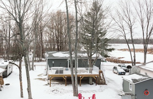 Baddow Cottage | Burnt River Waterfront- Kayaks, Hot tub, WiFi