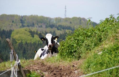 Sulzbach an der Murr Apartment | Bushof - Leben auf dem Land