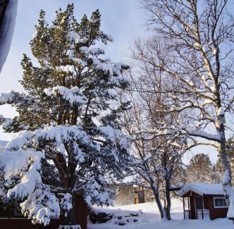 Skabu House | Bustad Hyttetun