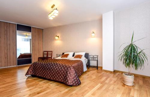 Birstonas Apartment | Butas Druskupio