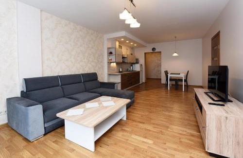 Birstonas Apartment | Butas Druskupio
