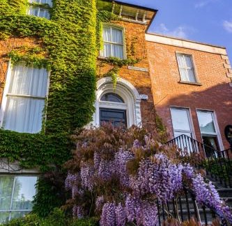 Ballsbridge House | Butlers Townhouse