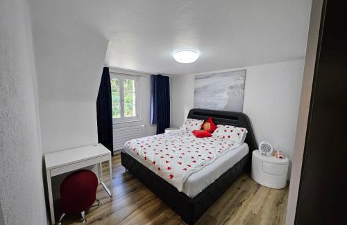 Trimbach Apartment | Butthouse Apartments
