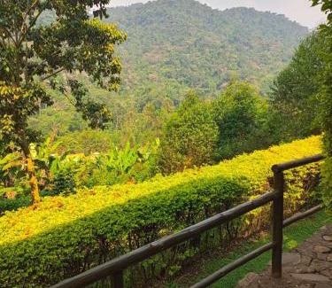 Bwindi Cabin | Bwindi Forest Lodge