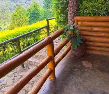 Bwindi Cabin | Bwindi Forest Lodge