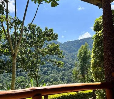 Bwindi Cabin | Bwindi Forest Lodge