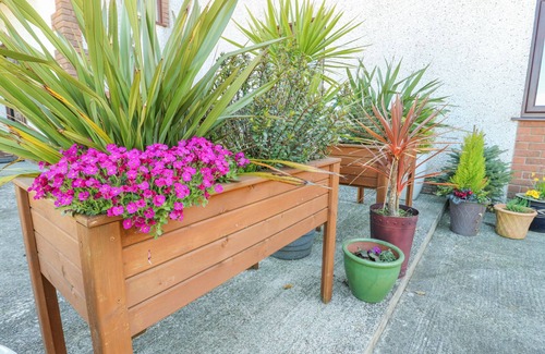 Llangefni Apartment | Bwlch Y Gwynt Bach