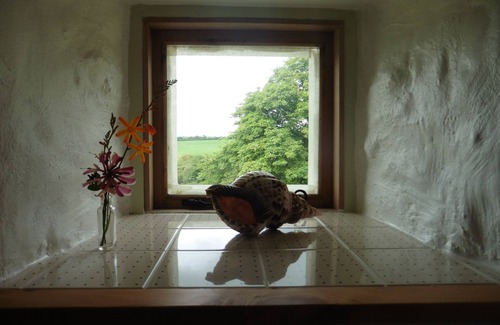 Crymych Cottage | Bwthyn Bran, 1-bed cosy cottage on the edge of the Preseli hills. Pet friendly
