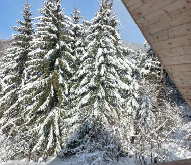 Cavnic House | Căsuța bunicii