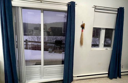 Ferme-Neuve Apartment | Unit C - Studio Private/Beachfront/Kayaks,/Starlink Internet